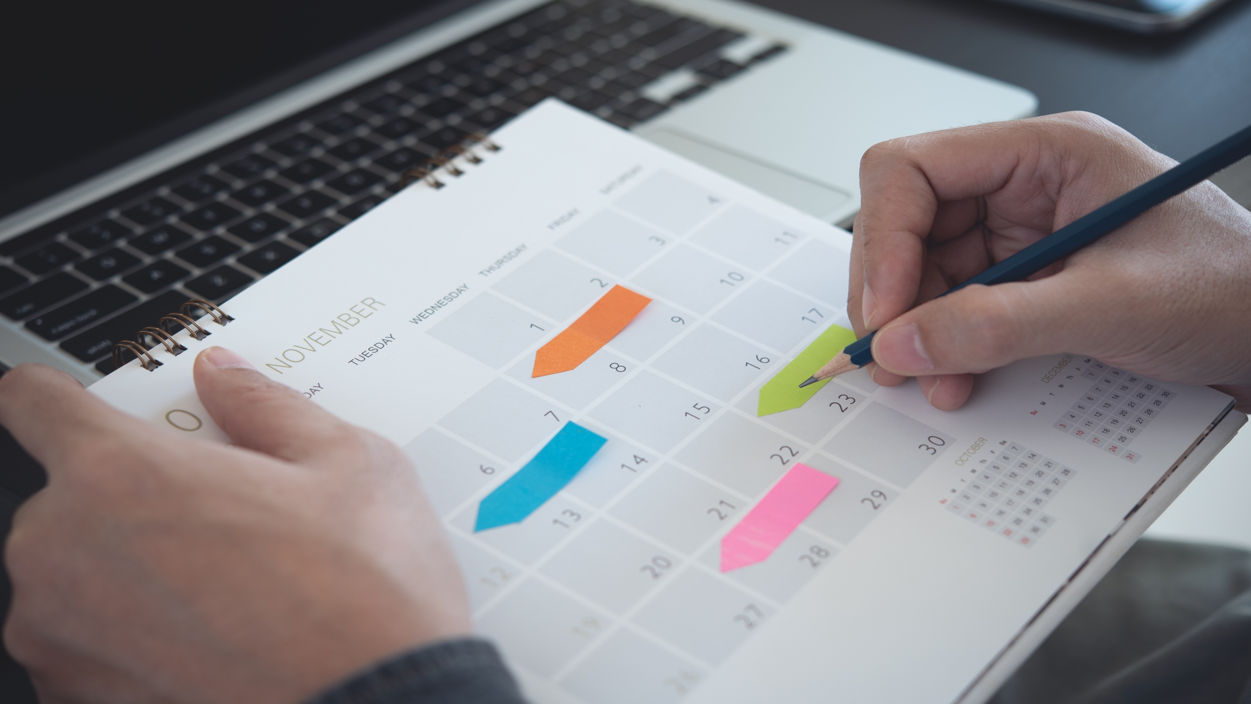 A calendar with tabs, indicating special days and availability